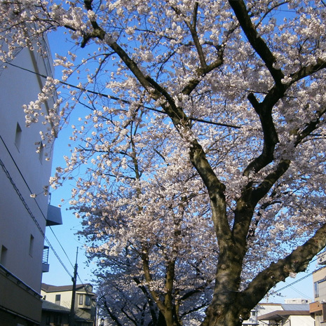 協立設備工業株式会社 愛知県上 下水道指定工事店